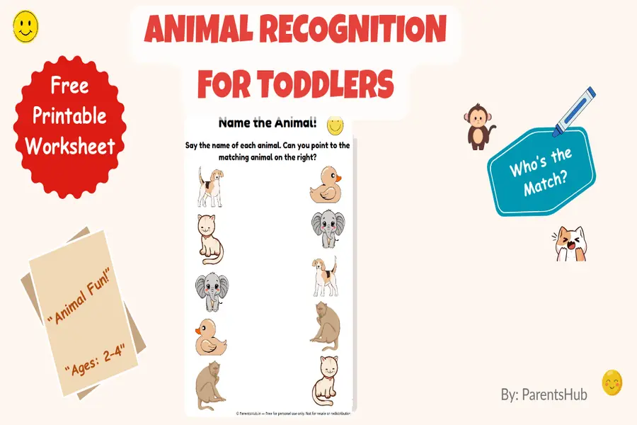 Animal Picture matching