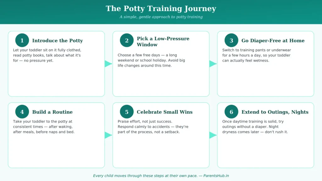 Six-step potty training journey from introducing the potty to outings and nighttime training