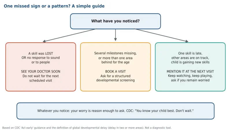 Developmental Red Flags in Babies and Toddlers (0–3 Years): Warning Signs by Age Flowchart showing when to seek medical advice for a lost skill, several missed milestones, or one delayed skill.