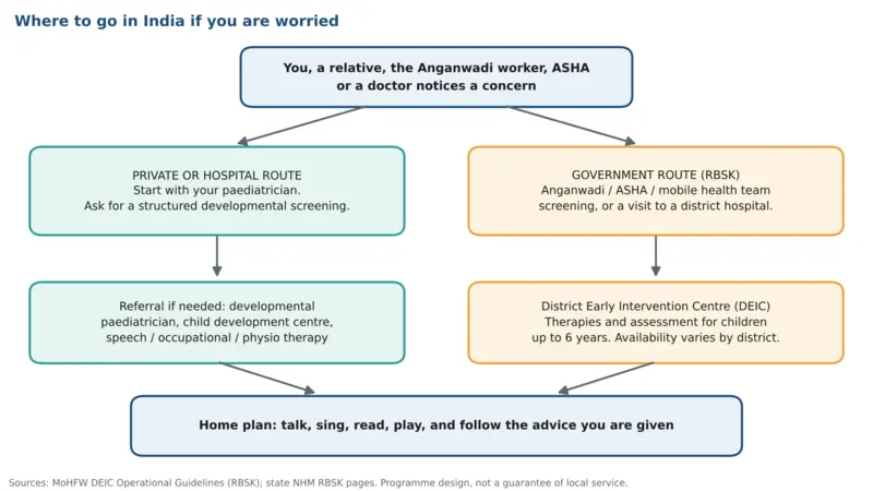 Developmental Red Flags in Babies and Toddlers (0–3 Years): Warning Signs by Age Flowchart showing private and government pathways for developmental screening and referral in India, including paediatricians, Anganwadi services, ASHA workers, mobile health teams and District Early Intervention Centres (DEICs).